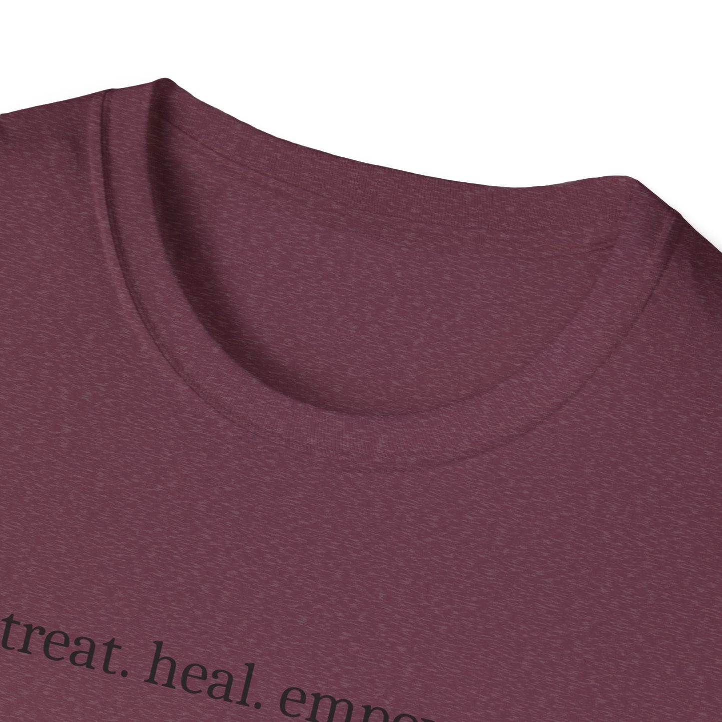 Veterinarian T-Shirt, Pet Doctor Tee, Animal Lover Shirt, Vet Life Gift, Funny Vet Tech Tee, Animal Care Shirt, Unisex Softstyle T-Shirt