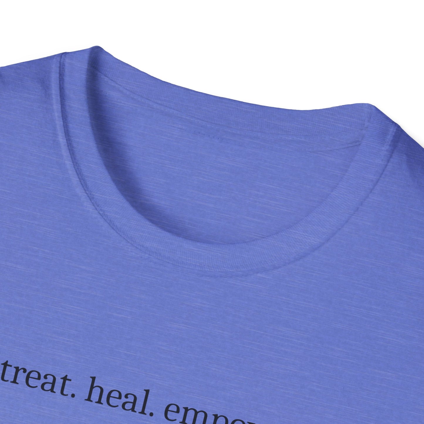 Veterinarian T-Shirt, Pet Doctor Tee, Animal Lover Shirt, Vet Life Gift, Funny Vet Tech Tee, Animal Care Shirt, Unisex Softstyle T-Shirt