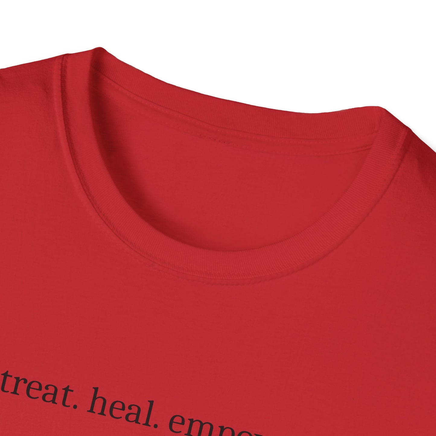 Veterinarian T-Shirt, Pet Doctor Tee, Animal Lover Shirt, Vet Life Gift, Funny Vet Tech Tee, Animal Care Shirt, Unisex Softstyle T-Shirt
