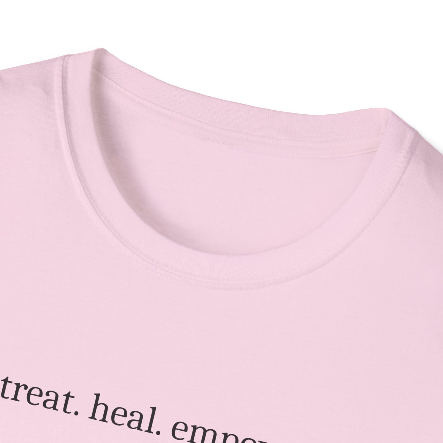 Veterinarian T-Shirt, Pet Doctor Tee, Animal Lover Shirt, Vet Life Gift, Funny Vet Tech Tee, Animal Care Shirt, Unisex Softstyle T-Shirt