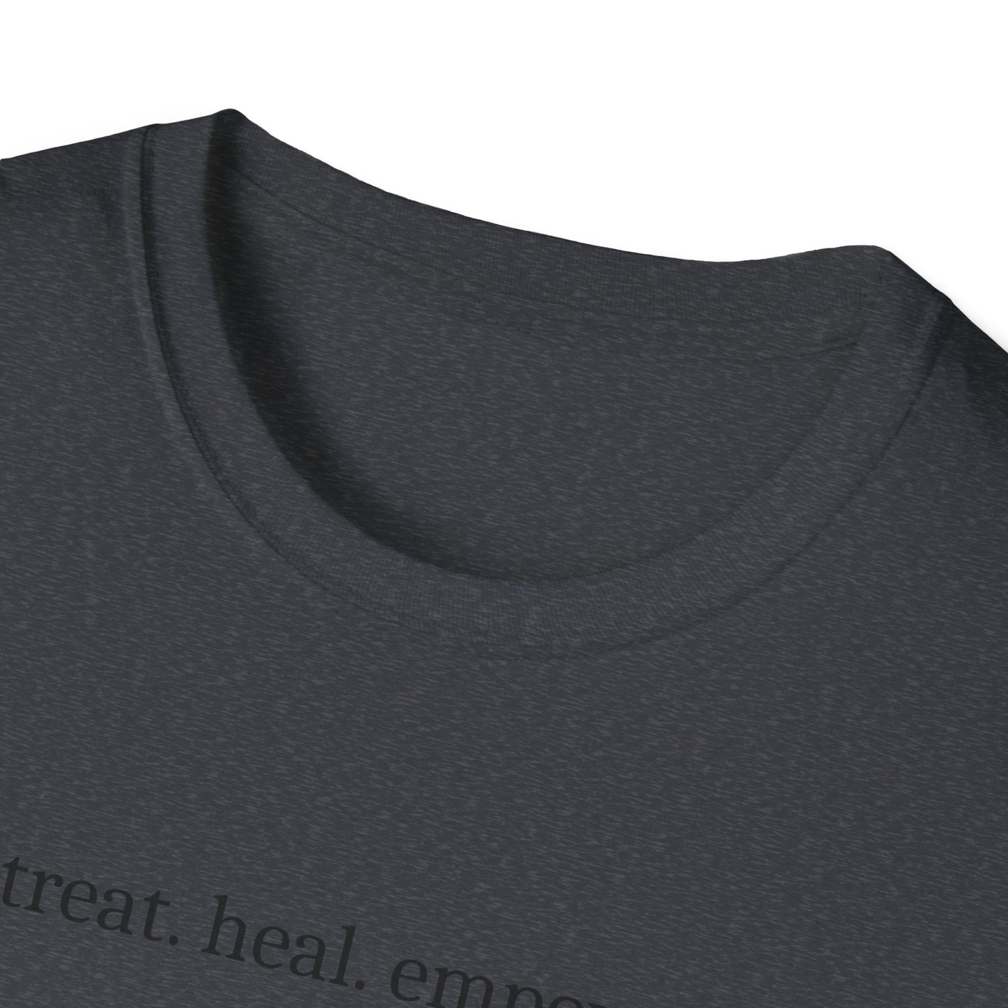 Veterinarian T-Shirt, Pet Doctor Tee, Animal Lover Shirt, Vet Life Gift, Funny Vet Tech Tee, Animal Care Shirt, Unisex Softstyle T-Shirt
